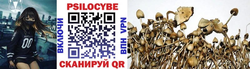 Псилоцибиновые грибы GOLDEN TEACHER  Купить  Надым 