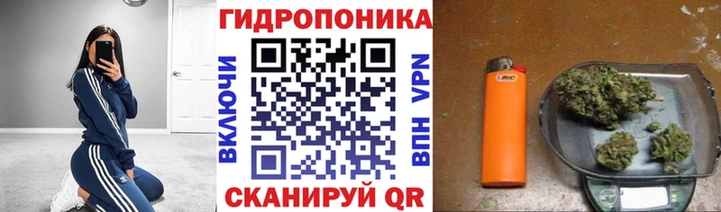 Бошки Шишки White Widow  Купить закладки  Надым 